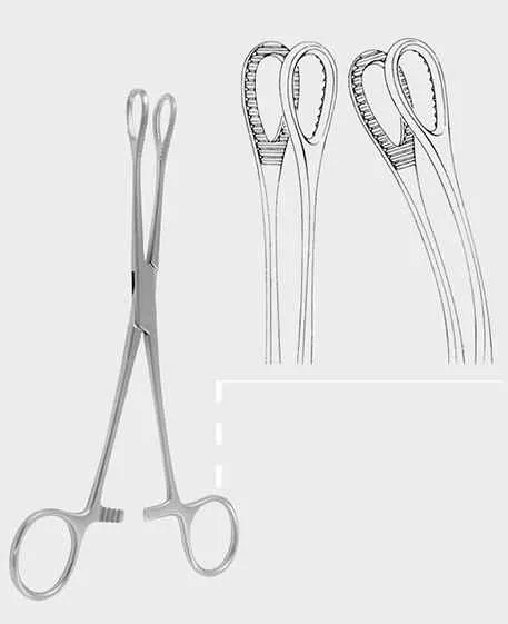 Schwammzange nach Foerster gerade, gerieftes, rundes Maul, 20,0 cm