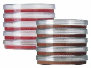 Nhrboden fr die Mikrobiologie (20 Petrischalen) Sabouraud Glucose 2 % Agar