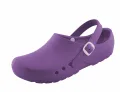 Schrr OP-Schuhe, CHIROCLOGS ECONOMY, aubergine, mit Fersenriemen, fr Damen und Herren