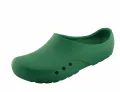 Schrr OP-Schuhe CHIROCLOGS ECONOMY, grn, fr Damen und Herren,